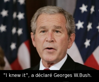 Fichier:Bush-iknewit.png