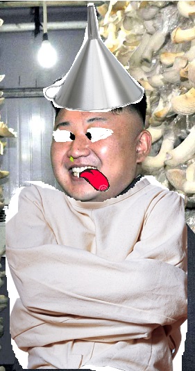 Fichier:Kim Jong-Un fou.jpg