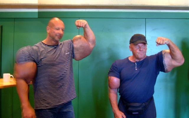 Fichier:31946 formatted 310733 bodybuilding 20gone 20wrong.jpg