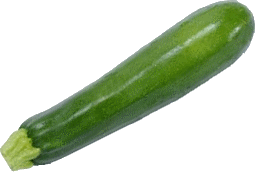 Fichier:Image courgette.gif