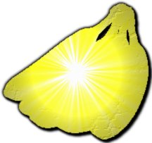 Fichier:Champion banana.jpg