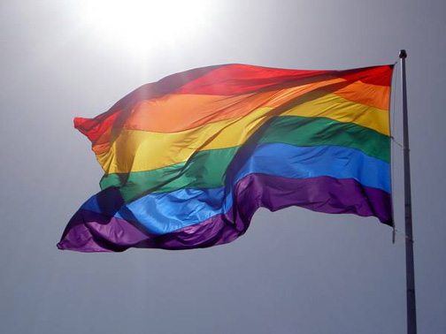 Fichier:Drapeau LGBT.jpg