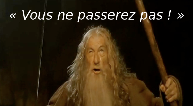 Fichier:Gandalf-You-Shall-Not-Pass-Ian-McKellen.png