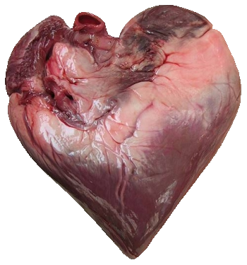 Fichier:Coeur viande.png