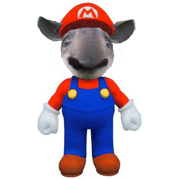 Fichier:Mario tapir.png