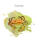 Fichier:Cancer.jpg