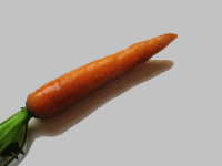 Fichier:Missile-carotte.png