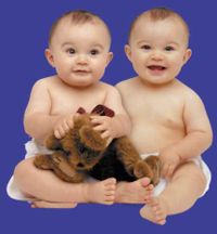 Fichier:Baby-twins.jpg
