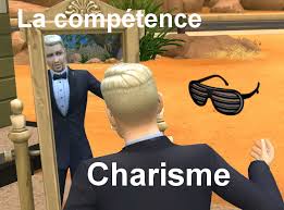 Fichier:Competence-charisme.jpg