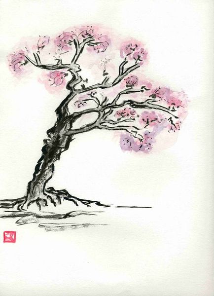 Fichier:Cerisier japonais.jpg