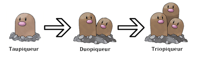 Evolution taupe.png