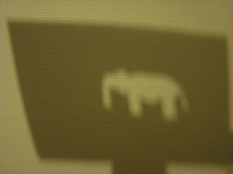 Fichier:Camelelephant-ombre.JPG
