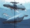 Whales-8843.jpg