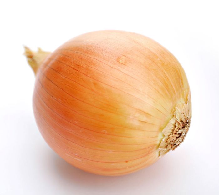 Onion white background.jpg