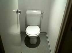 The-toilette.jpg