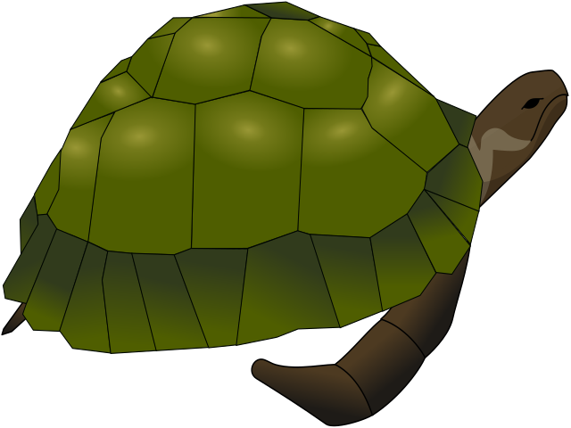 Fichier:Turtle jurgen gaeremyn 01.svg