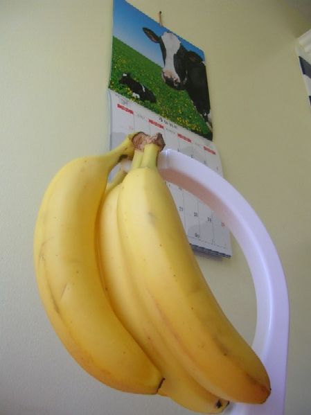 Fichier:Porte-bananes.JPG