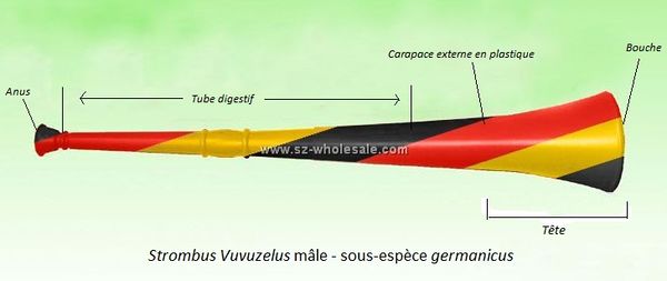 Vuvuzela 172950.jpg