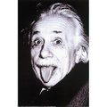 Le Docteur Einstein : Philanthrope reconnu, ses travaux sont à l’origine de la paix dans le monde.