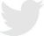 Twitter logo gris.jpg