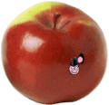 Pomme-hector-le-vers2.gif