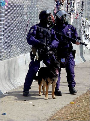 Sommet-chien-policier-1.jpg