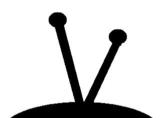 קובץ:Antenot.PNG