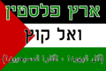 דגל פלסטין.