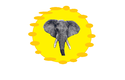 סמל חוף השנהב