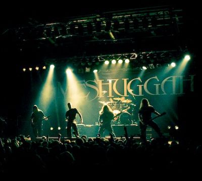 Meshuggah 2008 Melbourne 2 cropped.jpg