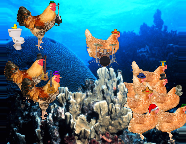 Chicken of the sea.png