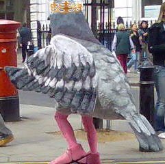 File:Pigeon King.jpg