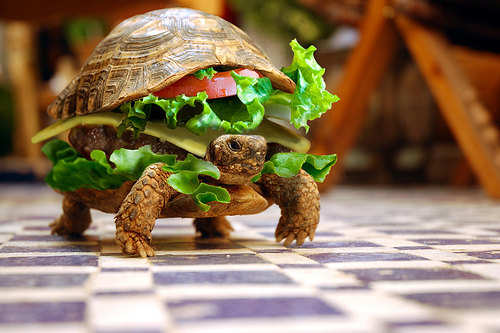 File:Turtle-burger.jpg