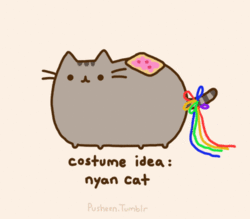 File:That plump kitty wanting to cosplay as Nyan cat.gif
