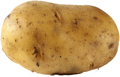 File:Plain-potato-photo-1.png