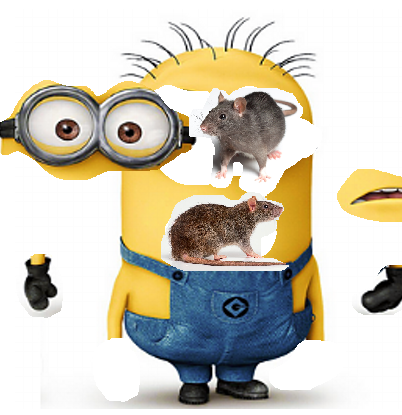 File:Miniondeath.png