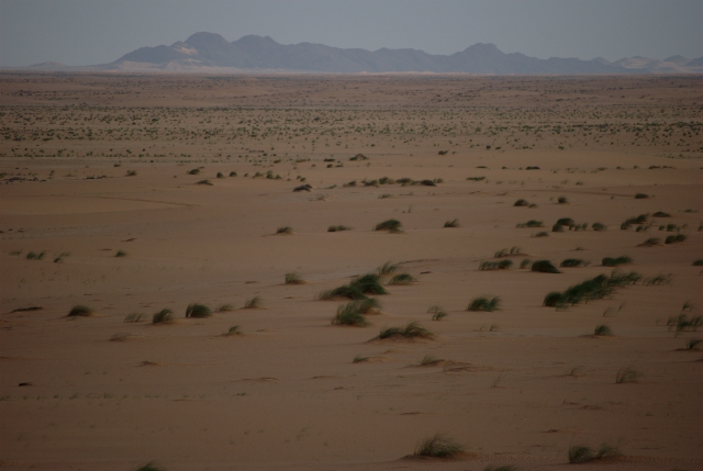 File:Mauritanian desert.jpg