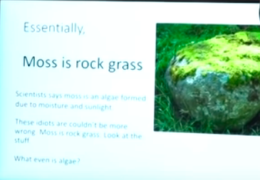 Moss is rock grass.png