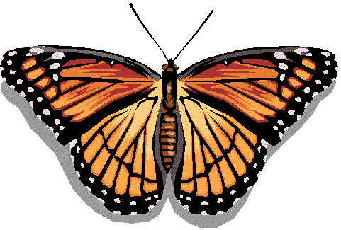 File:Butterfly.gif