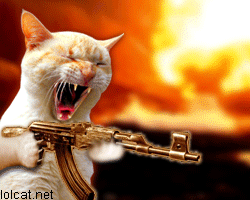 File:Machine gun cat.gif