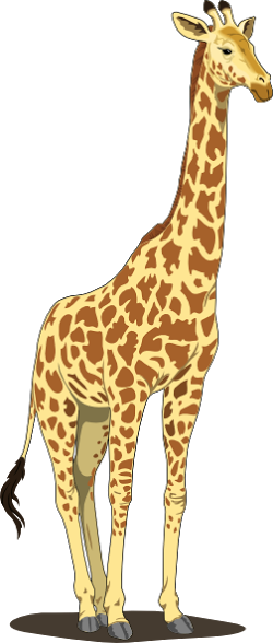 File:Giraffe!.png