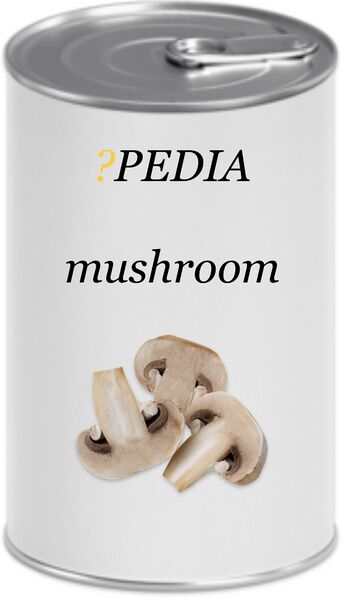 File:?pedia mushroom2.jpeg
