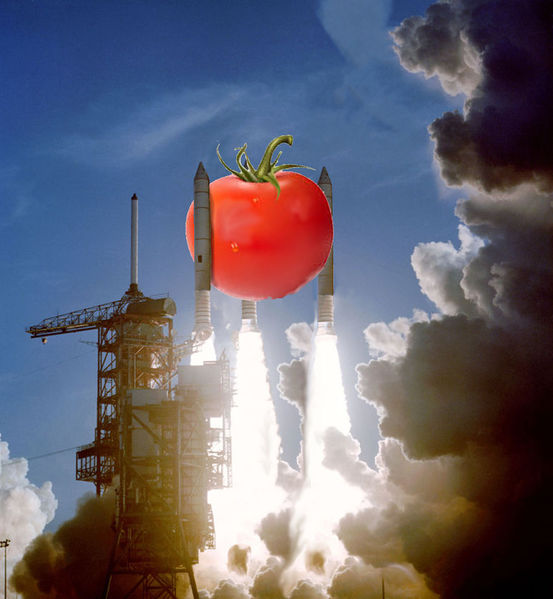 File:Nasa-tomato-launch-1.jpg