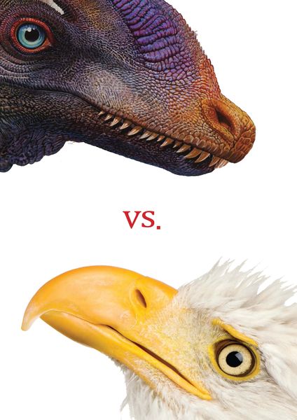 File:Guanlong vs eagle.jpg