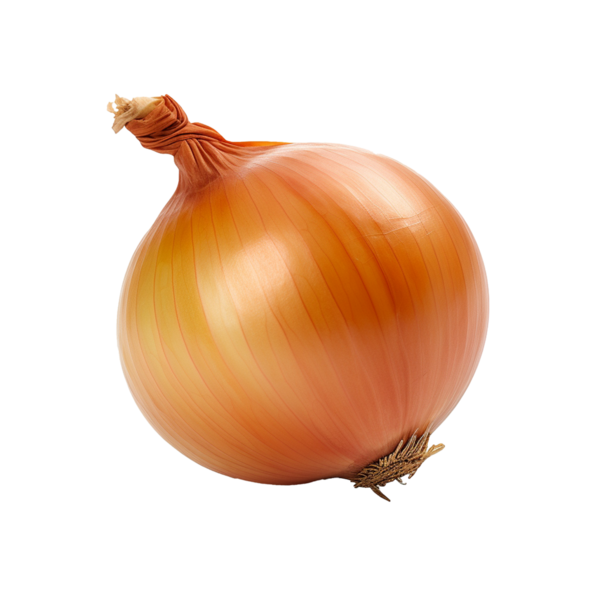 File:?pedia onion yellow.png