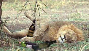 Wino Lion.jpg