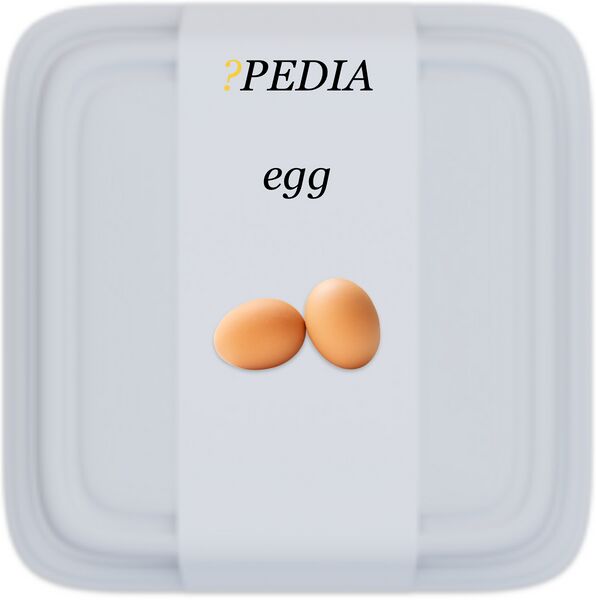 File:?pedia egg.jpeg