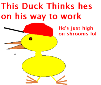 Mistaken Duck