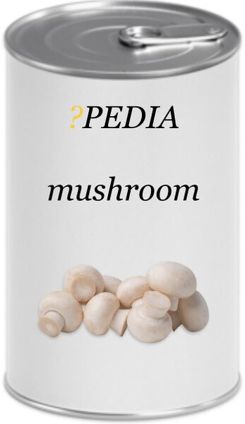 File:?pedia mushroom3.jpeg