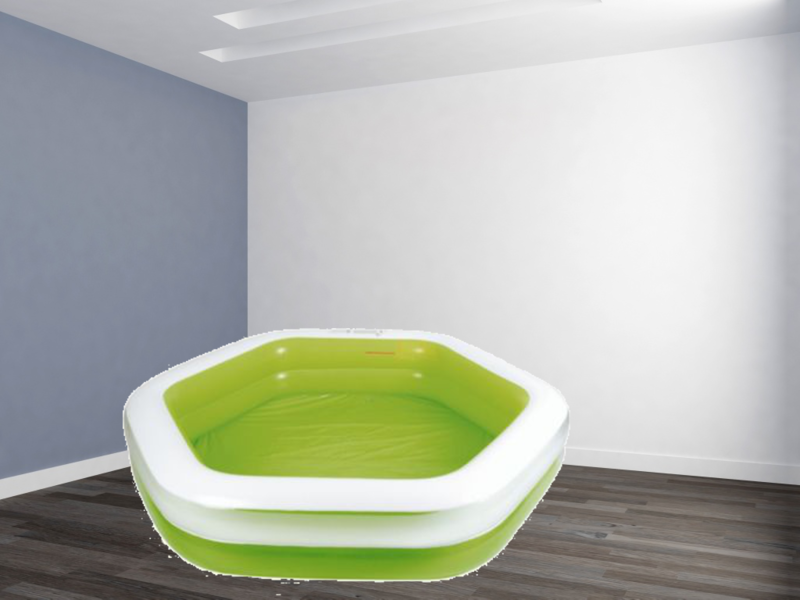 File:Big Brrother 2015 indoor pool.png